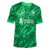 Maglia da Calcio Portiere Liverpool 2024-25 Verde per Uomo